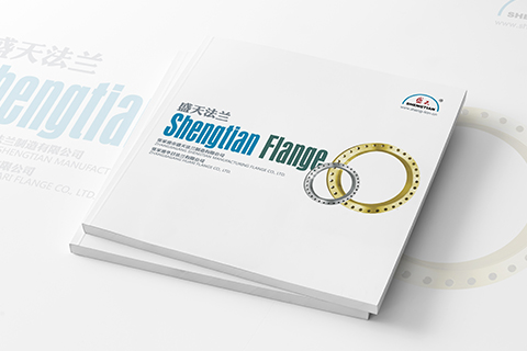 盛天法蘭產品冊設計制作