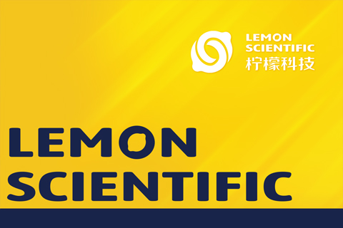 南京檸檬科技品牌logo設計/標志設計/VI設計