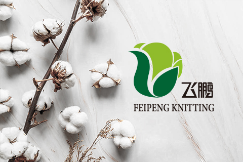 飛鵬針織Logo設計