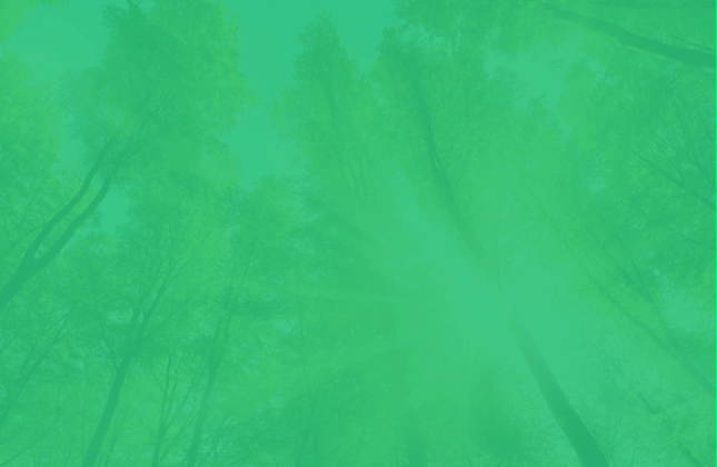 凱洲環保科技品牌VI和Logo設計