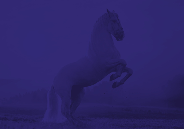 騏驥焊材品牌Logo設計