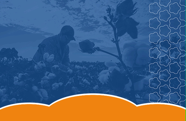 易棉購品牌VI和Logo設計