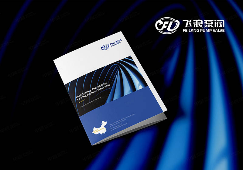 飛浪展會宣傳資料設計制作