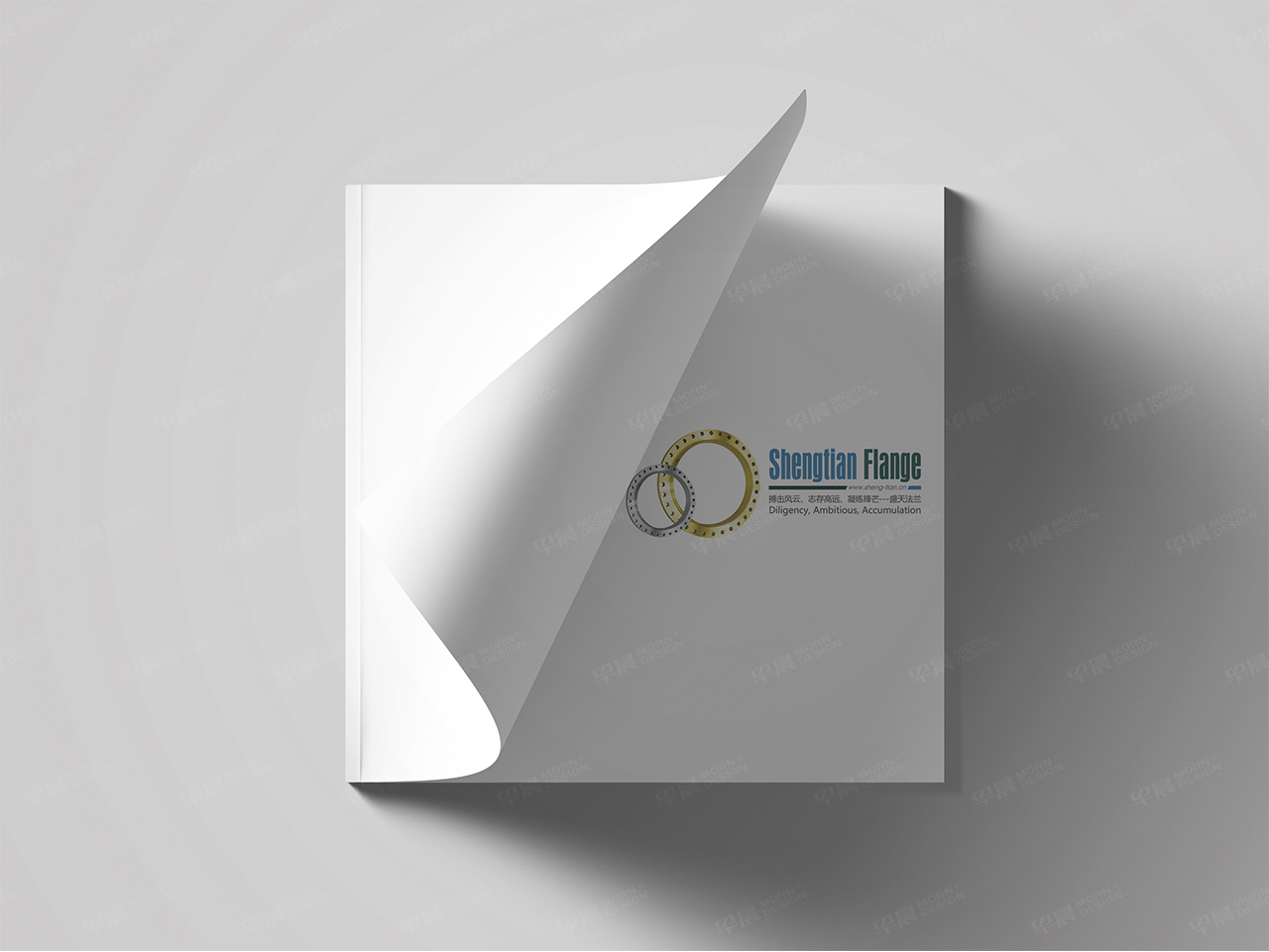 產品手冊設計,產品手冊制作,蘇州,南通,無錫,常州,泰州,張家港,江陰,太倉,昆山,常熟,靖江,如皋,宜興,盛天法蘭產品手冊設計,制作,公司 產品手冊設計,產品手冊制作,蘇州,南通,無錫,常州,泰州,張家港,江陰,太倉,昆山,常熟,靖江,如皋,宜興,盛天法蘭產品手冊設計,制作,公司