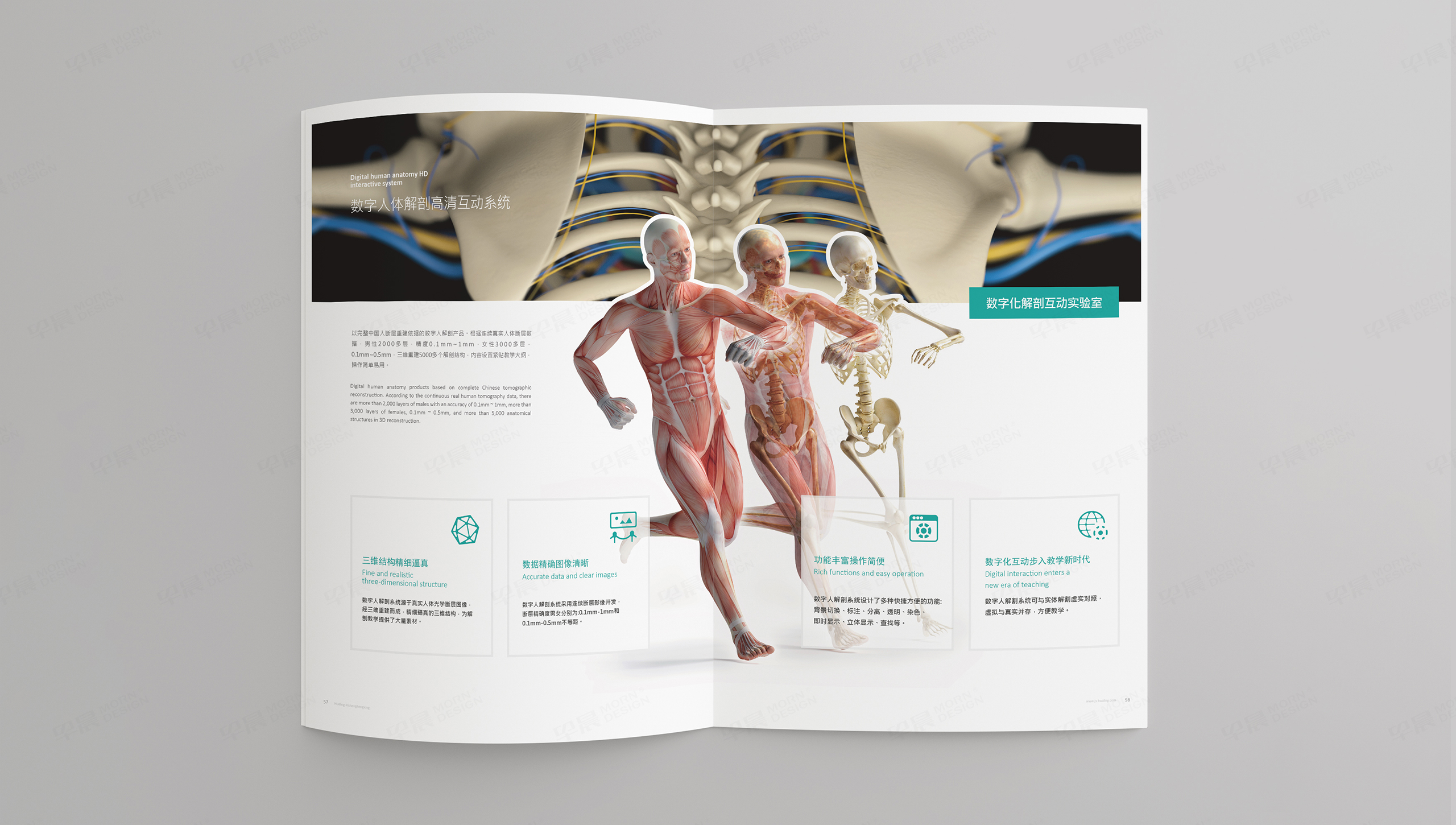 畫冊設計,宣傳冊設計,蘇州,無錫,常州,南通,泰州,張家港,江陰,太倉,昆山,常熟,靖江,畫冊制作,宣傳冊制作,實驗室設備,醫學,日升恒隆,制作公司,設計公司 