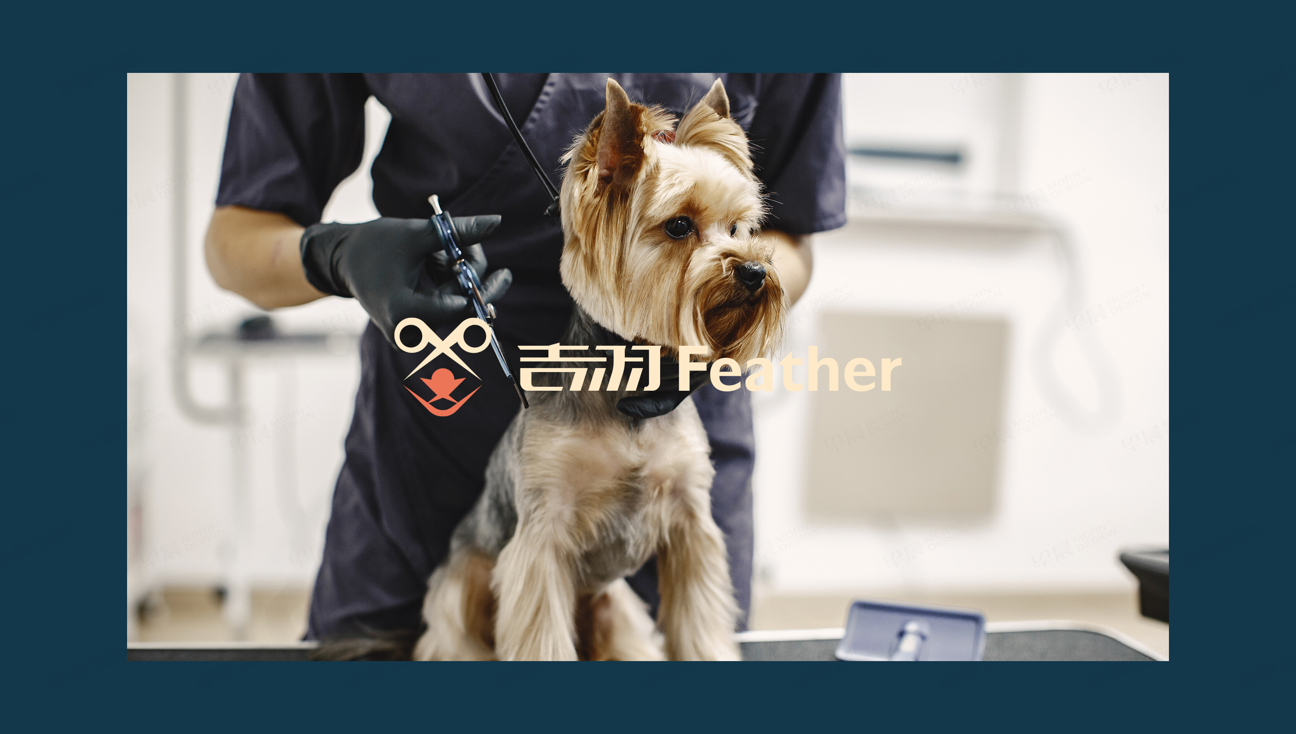 logo設計,吉羽,寵物剪刀logo設計,字體設計,品牌VI設計,蘇州,無錫,常州,南通,泰州,鎮江,南京,揚州,品牌VI形象設計,Logo設計公司