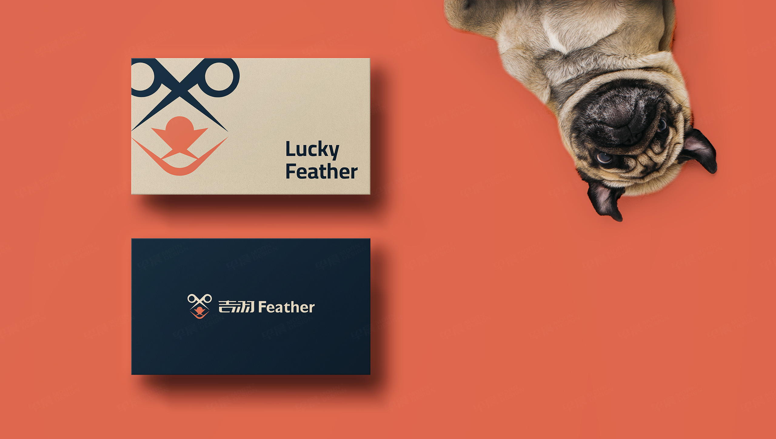 logo設計,吉羽,寵物剪刀logo設計,字體設計,品牌VI設計,蘇州,無錫,常州,南通,泰州,鎮江,南京,揚州,品牌VI形象設計,Logo設計公司