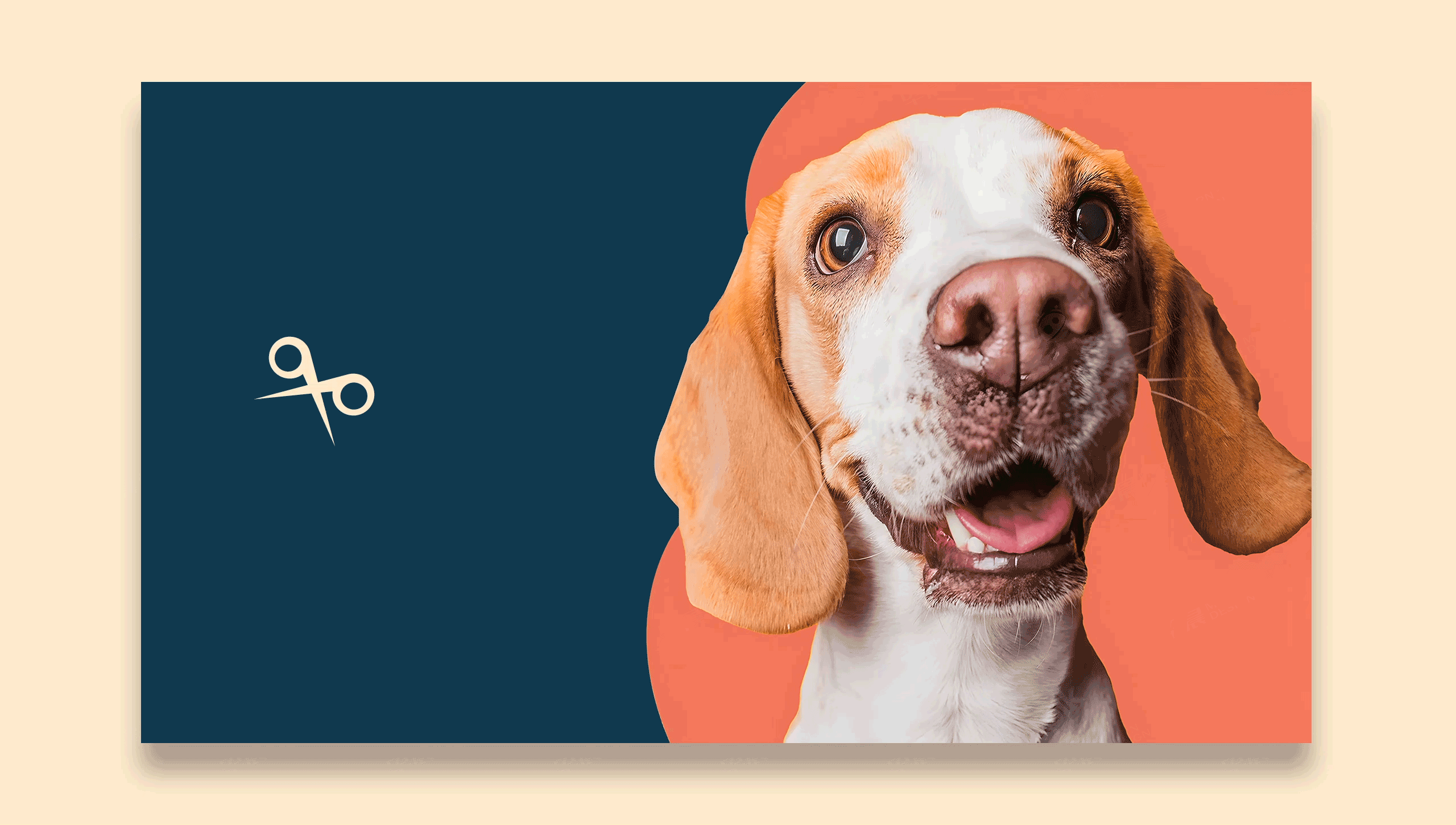 logo設計,吉羽,寵物剪刀logo設計,字體設計,品牌VI設計,蘇州,無錫,常州,南通,泰州,鎮江,南京,揚州,品牌VI形象設計,Logo設計公司