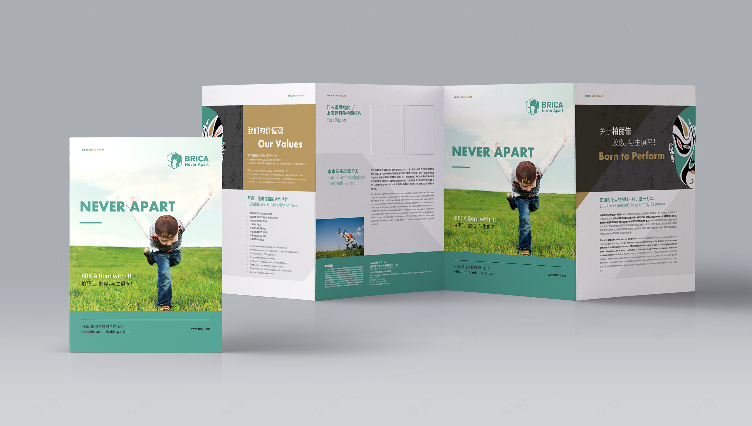 柏麗佳四折頁設計[宣傳頁設計]-早晨設計-蘇州,無錫,常州,南通,泰州,鎮江,南京,揚州,張家港,江陰,太倉,昆山,常熟,靖江的畫冊、宣傳冊設計公司