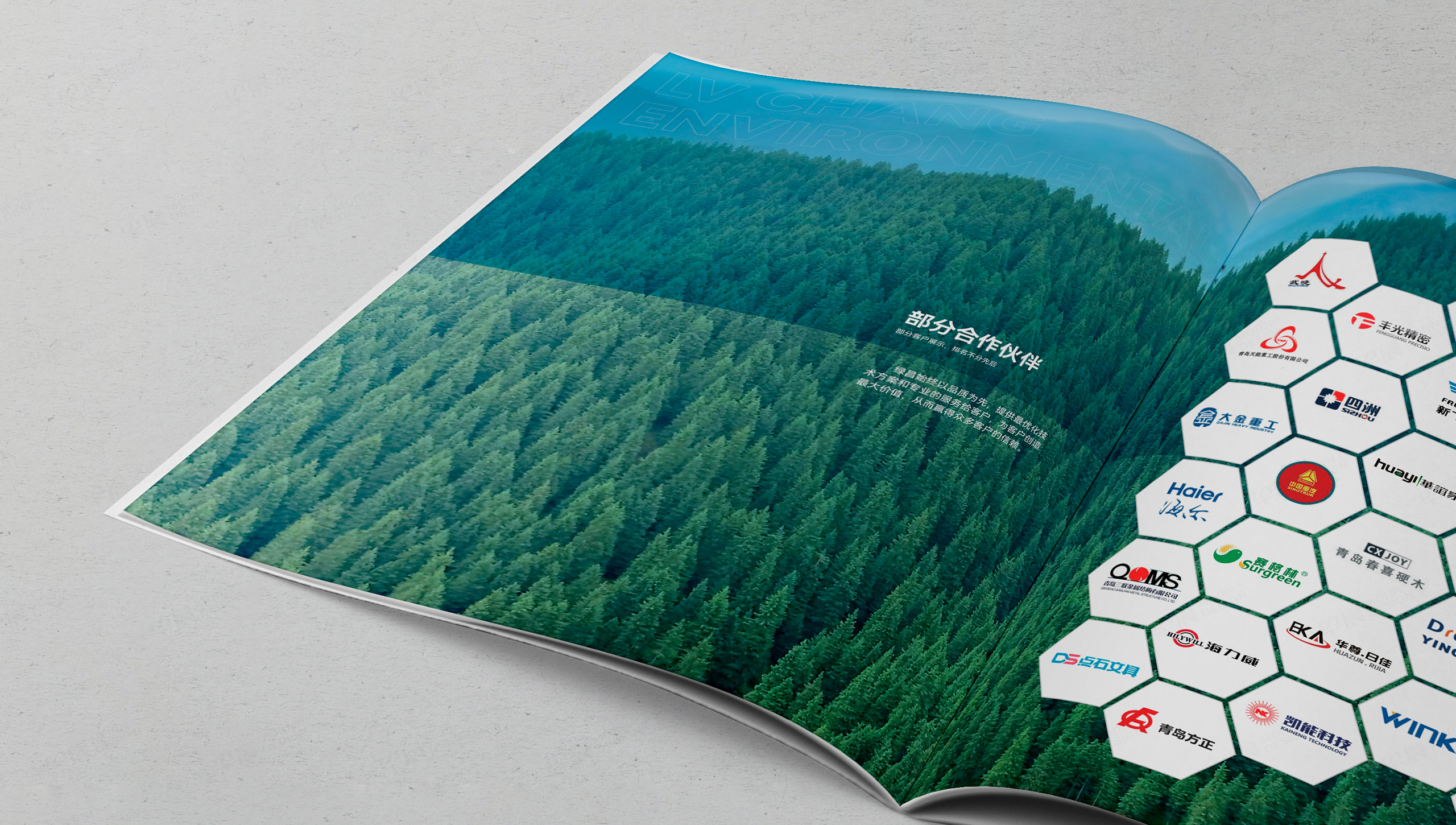 畫冊設計,宣傳畫冊,環保設備,綠昌,蘇州,無錫,常州,南通,泰州,張家港,江陰,太倉,昆山,常熟,靖江,畫冊制作,設計公司,制作公司