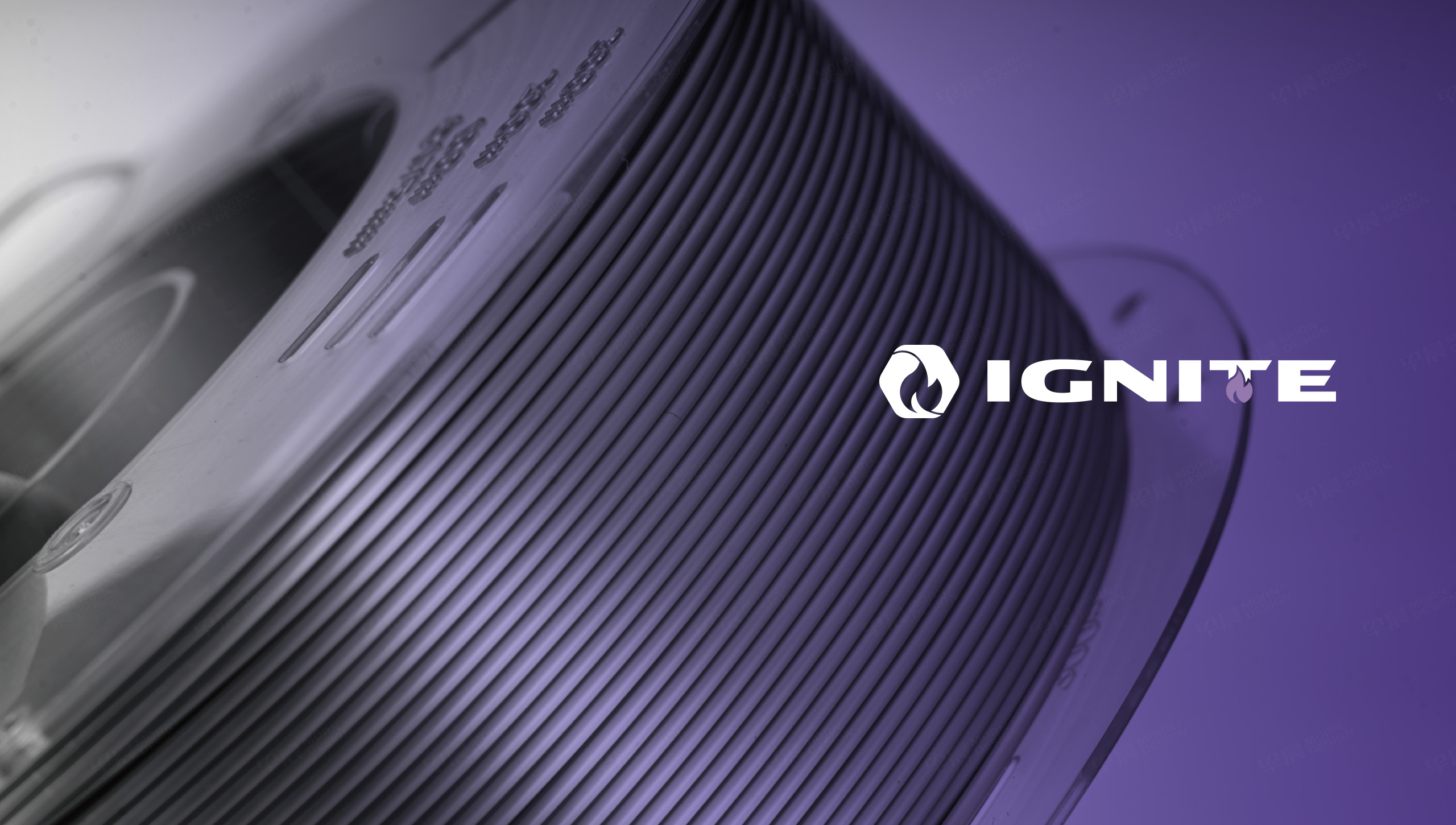 Logo設計,IGNITE,意格耐特,品牌Logo設計,Logo制作,蘇州,設計公司,制作公司