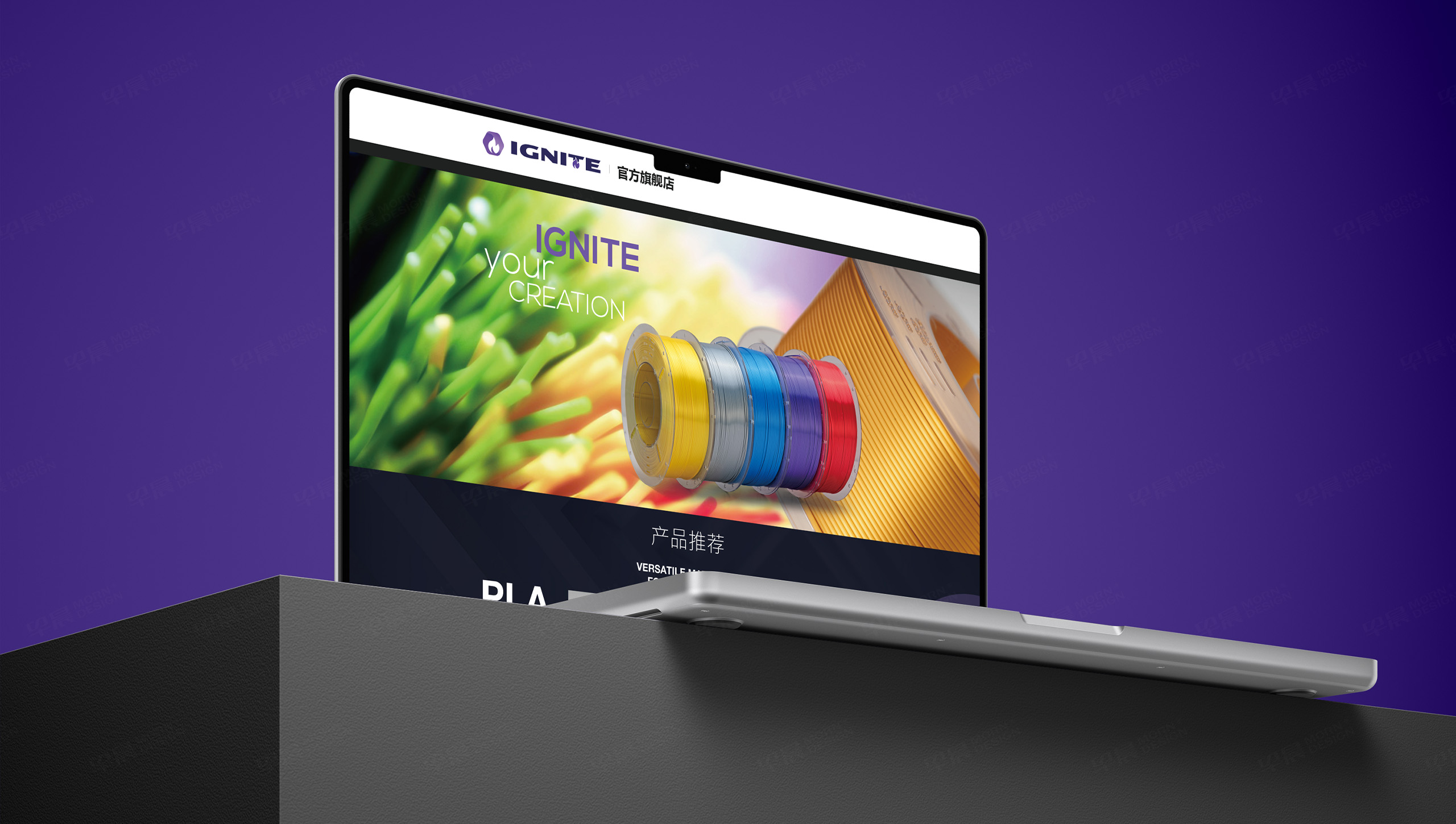 Logo設計,IGNITE,意格耐特,品牌Logo設計,Logo制作,蘇州,設計公司,制作公司