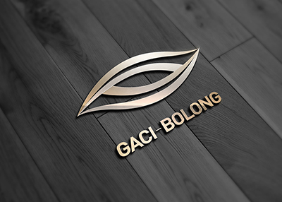 博龍品牌Logo設計[VI設計]