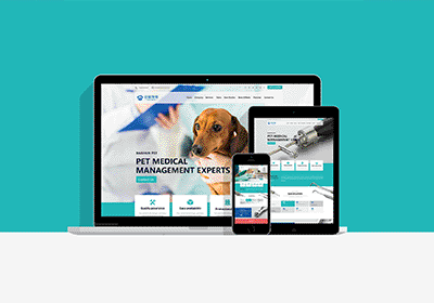 百順寵物醫療器械網站設計和建設