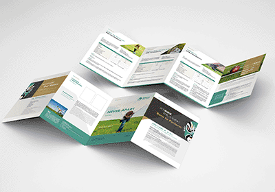 柏麗佳四折頁設(shè)計[宣傳頁設(shè)計]