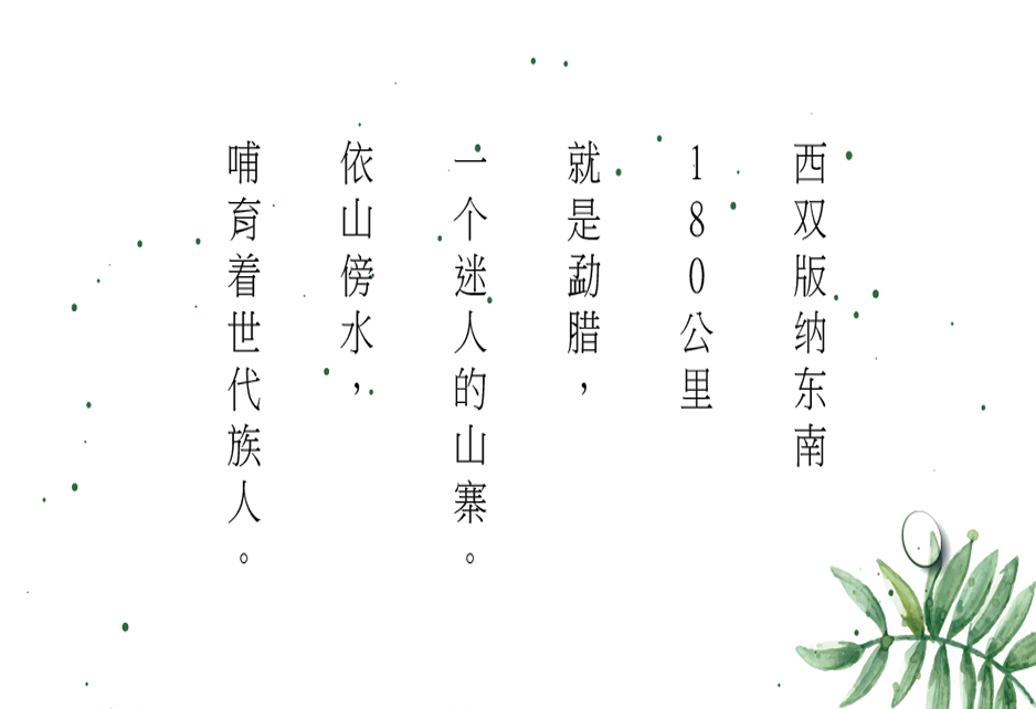 小蜜蜂蜜VI設(shè)計(jì)|張家港品牌策劃|品牌設(shè)計(jì)★張家港早晨設(shè)計(jì)★企業(yè)VI設(shè)計(jì)|企業(yè)策劃|形象設(shè)計(jì)|張家港Logo設(shè)計(jì)|標(biāo)志設(shè)計(jì)|商標(biāo)設(shè)計(jì)|字體設(shè)計(jì)|圖形設(shè)計(jì)