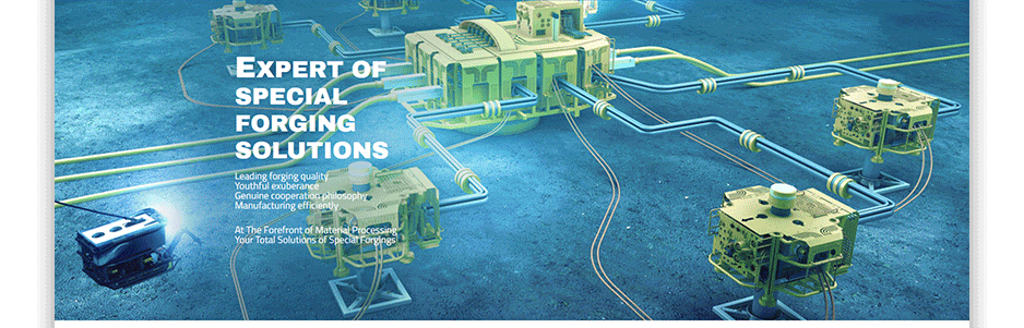 石化,網站設計,網站建設,蘇州,無錫,常州,南通,泰州,張家港,江陰,太倉,昆山,雷格姆,公司