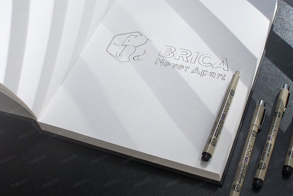 柏麗佳標志logo設計和VI設計,張家港,江陰,太倉,常熟,昆山,靖江,品牌策劃設計,VI設計,標志LOGO設計,公司