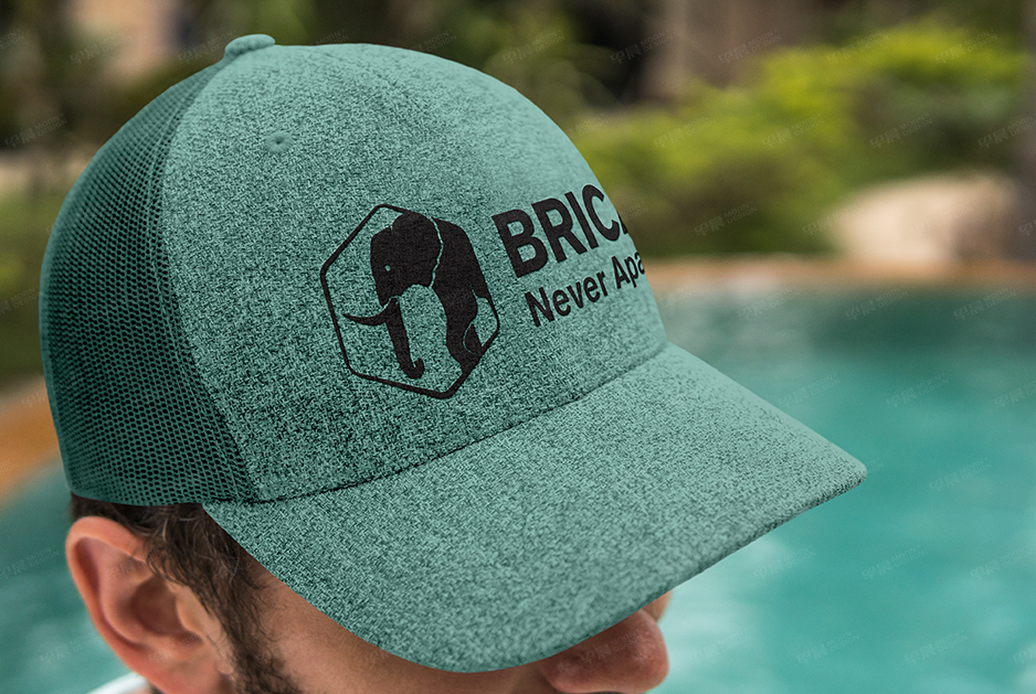 柏麗佳標志logo設計和VI設計,張家港,江陰,太倉,常熟,昆山,靖江,品牌策劃設計,VI設計,標志LOGO設計,公司