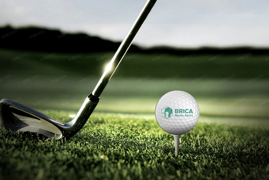 柏麗佳標志logo設計和VI設計,張家港,江陰,太倉,常熟,昆山,靖江,品牌策劃設計,VI設計,標志LOGO設計,公司