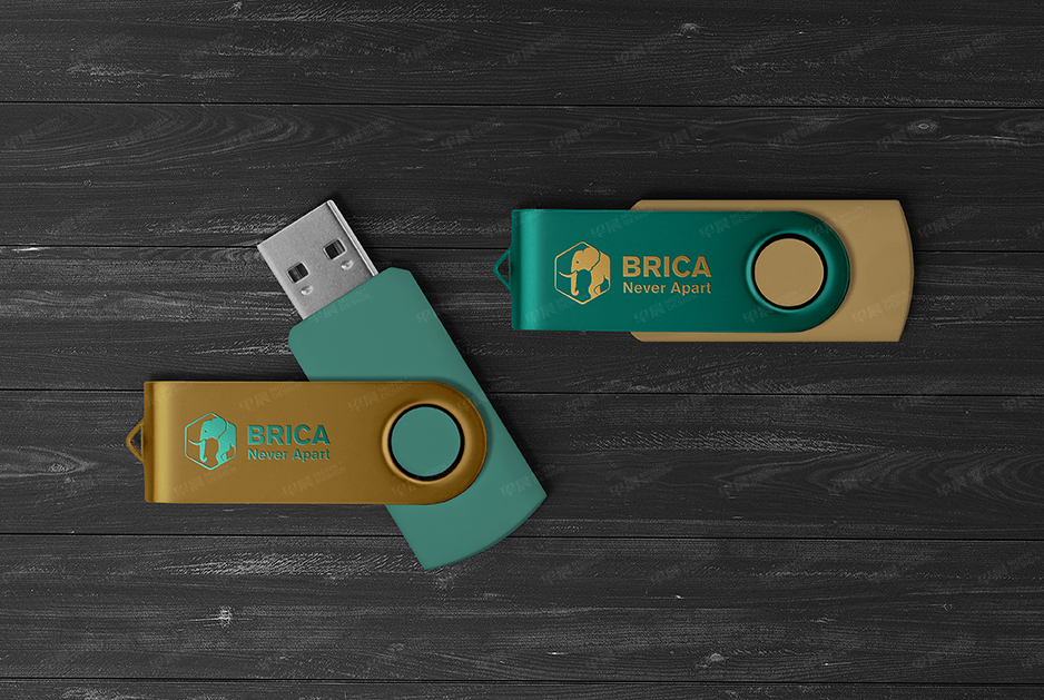 柏麗佳標志logo設計和VI設計,張家港,江陰,太倉,常熟,昆山,靖江,品牌策劃設計,VI設計,標志LOGO設計,公司