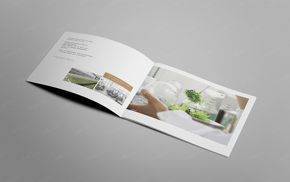 產品畫冊設計,福元高科鐵皮石斛產品宣傳畫冊設計,蘇州,無錫,常州,南通,泰州,張家港,江陰,太倉,昆山,常熟,靖江,產品宣傳畫冊設計,制作,公司