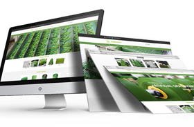 怎么寫出并優(yōu)化高權(quán)重符合網(wǎng)絡(luò)推廣的網(wǎng)站標(biāo)題？