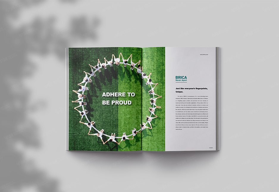 草坪,粘合劑,畫冊設計,樣本設計,彩本設計,張家港,江陰,昆山,常熟,海門,海安,蘇州,無錫,宜興,柏麗佳,公司