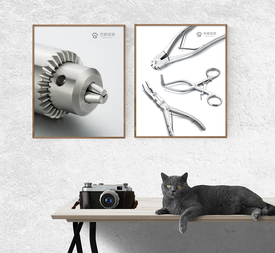 華新醫(yī)療寵物器械產(chǎn)品攝影和拍攝★早晨設(shè)計(jì)★張家港,江陰,太倉,昆山,常熟,靖江,南通,如皋,靖江,如東,海門,海安,蘇州,無錫,宜興提供產(chǎn)品圖片的創(chuàng)意攝影和拍攝。